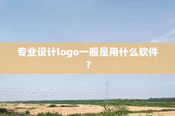 专业设计logo一般是用什么软件？