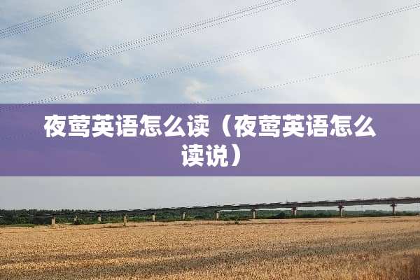 夜莺英语怎么读（夜莺英语怎么读说）