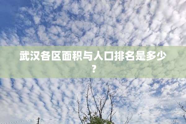 武汉各区面积与人口排名是多少？