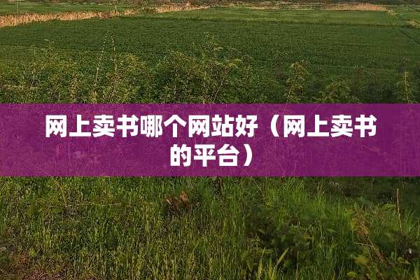 网上卖书哪个网站好（网上卖书的平台）