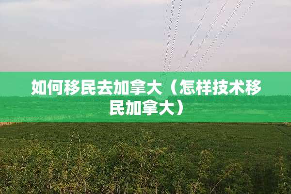 如何移民去加拿大（怎样技术移民加拿大）