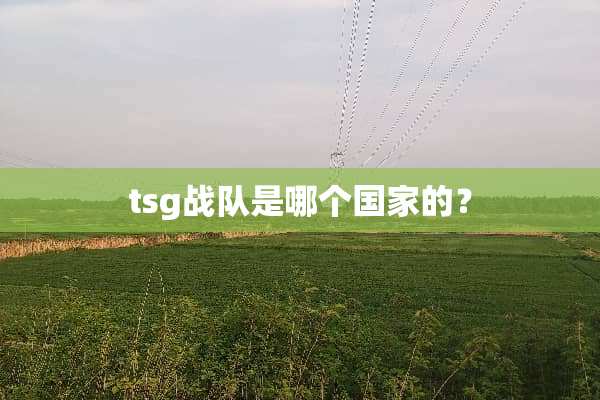tsg战队是哪个国家的？