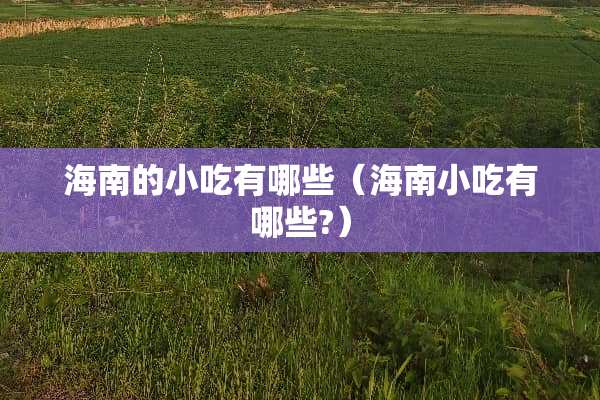 海南的小吃有哪些（海南小吃有哪些?）