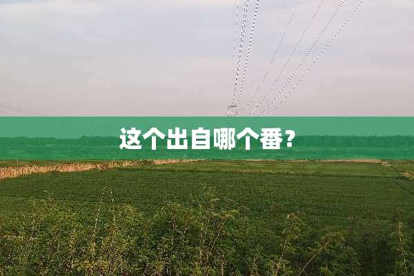 这个出自哪个番？