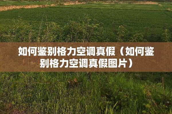 如何鉴别格力空调真假（如何鉴别格力空调真假图片）