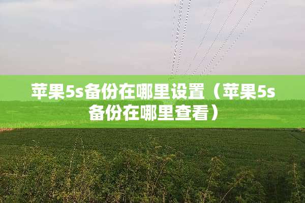 苹果5s备份在哪里设置（苹果5s备份在哪里查看）