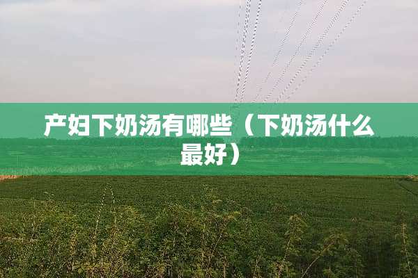 产妇下奶汤有哪些（下奶汤什么最好）