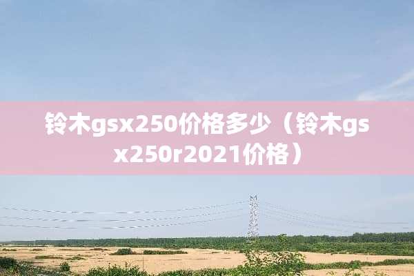 铃木gsx250价格多少（铃木gsx250r2021价格）