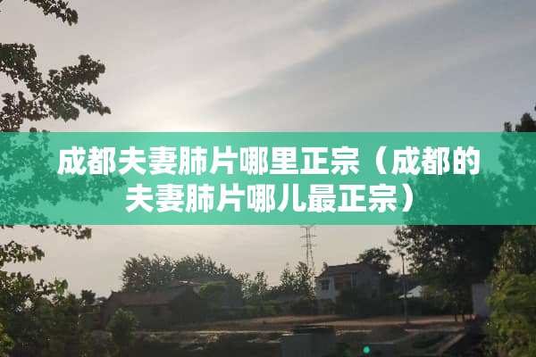 成都夫妻肺片哪里正宗（成都的夫妻肺片哪儿最正宗）