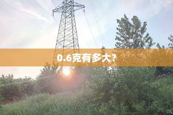 0.6克有多大？