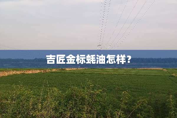 吉匠金标蚝油怎样？
