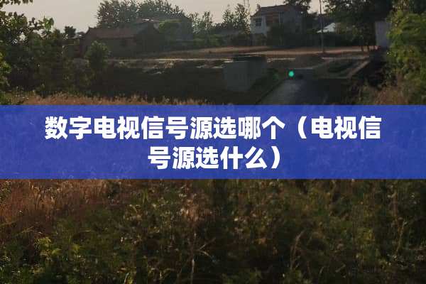 数字电视信号源选哪个（电视信号源选什么）