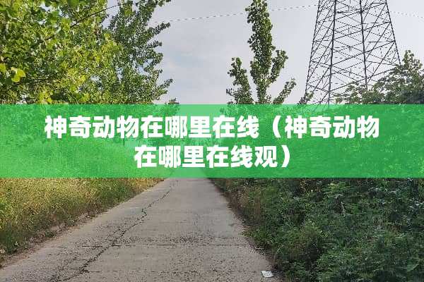 神奇动物在哪里在线（神奇动物在哪里在线观）