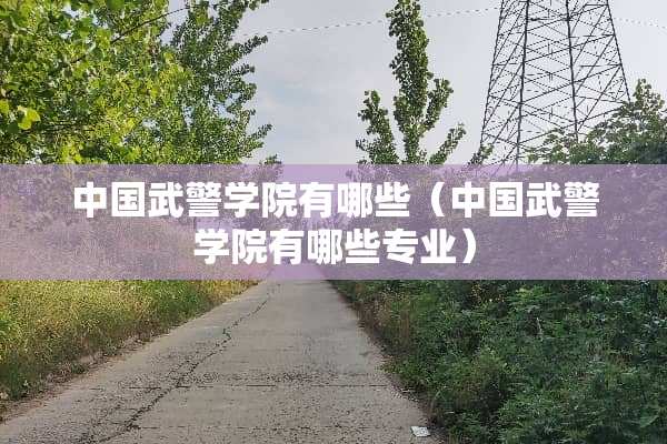 中国**学院有哪些（中国**学院有哪些专业）