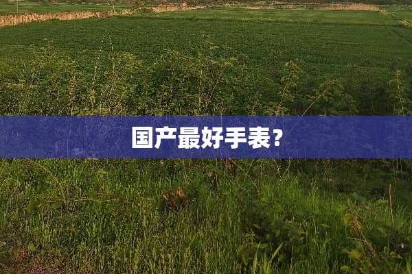 国产最好手表？