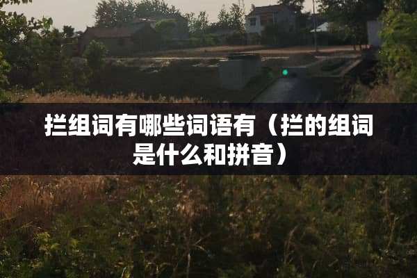 拦组词有哪些词语有（拦的组词是什么和拼音）