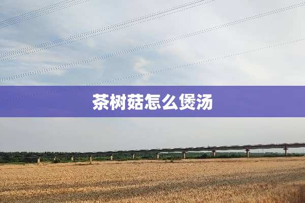 茶树菇怎么煲汤