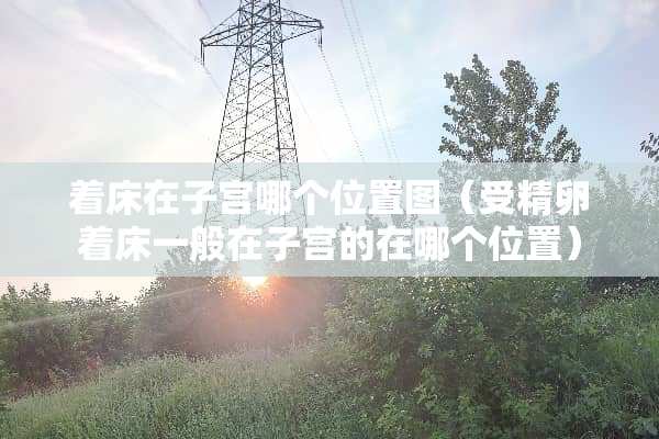 着床在子宫哪个位置图（受精卵着床一般在子宫的在哪个位置）
