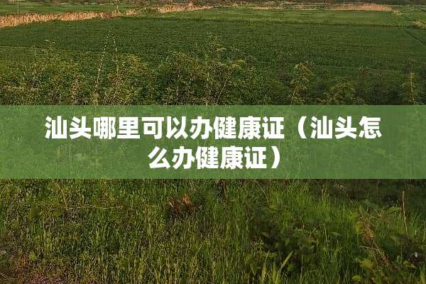 汕头哪里可以办健康证（汕头怎么办健康证）