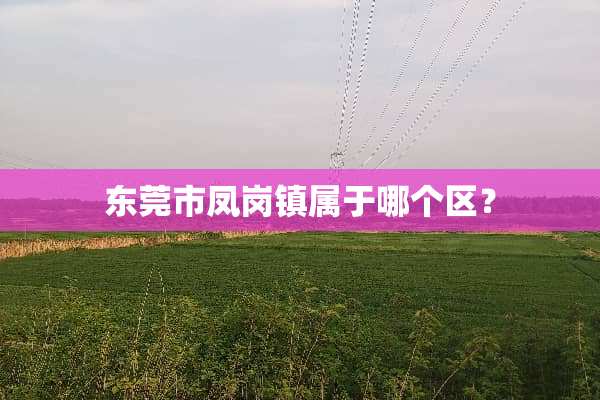 东莞市凤岗镇属于哪个区？