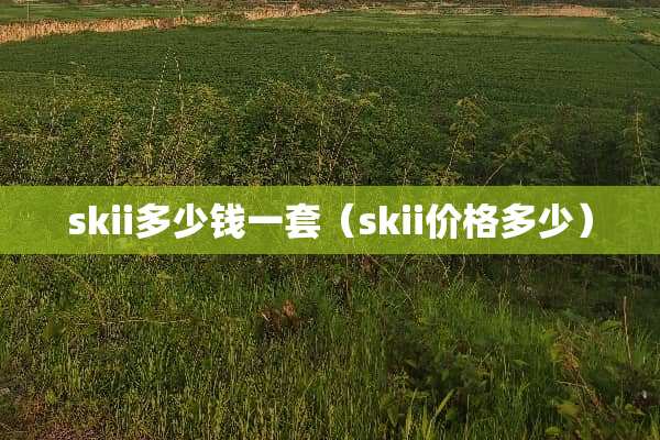 skii多少钱一套（skii价格多少）