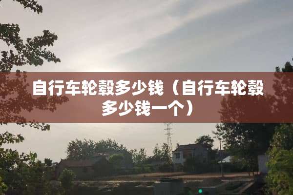 自行车轮毂多少钱（自行车轮毂多少钱一个）