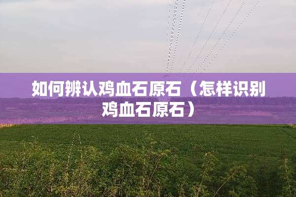 如何辨认鸡血石原石（怎样识别鸡血石原石）