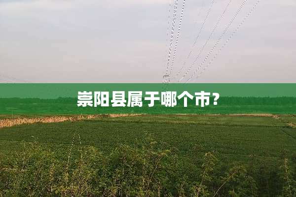 崇阳县属于哪个市？