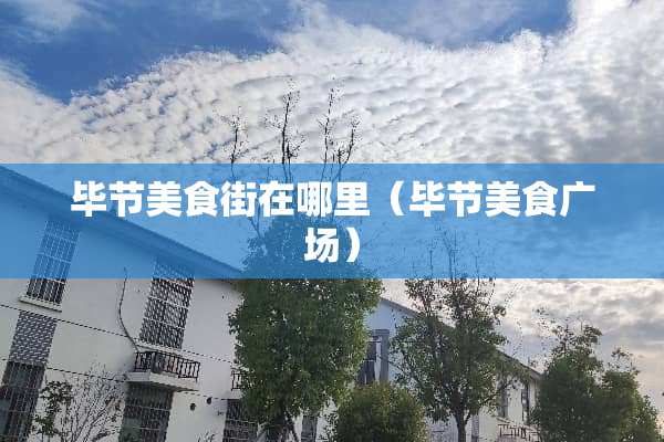 毕节美食街在哪里（毕节美食广场）