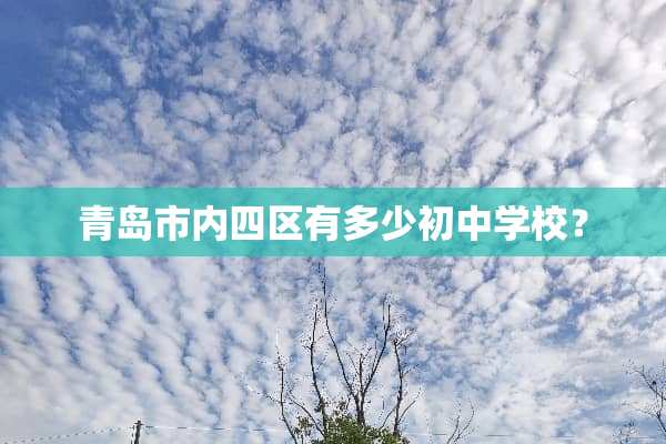 青岛市内四区有多少初中学校？