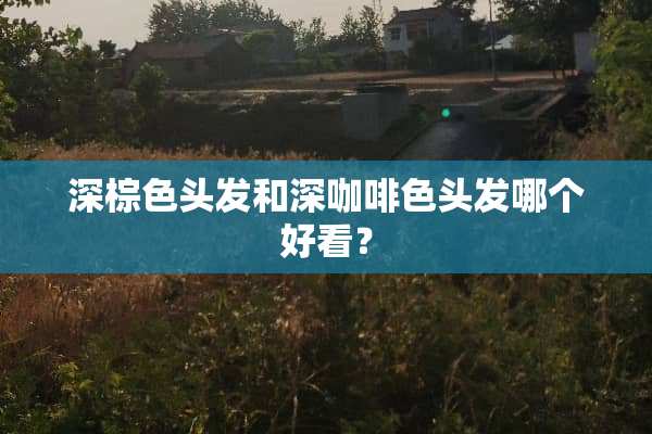 深棕色头发和深咖啡色头发哪个好看？