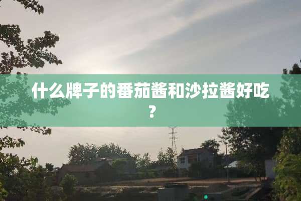 什么牌子的番茄酱和沙拉酱好吃？