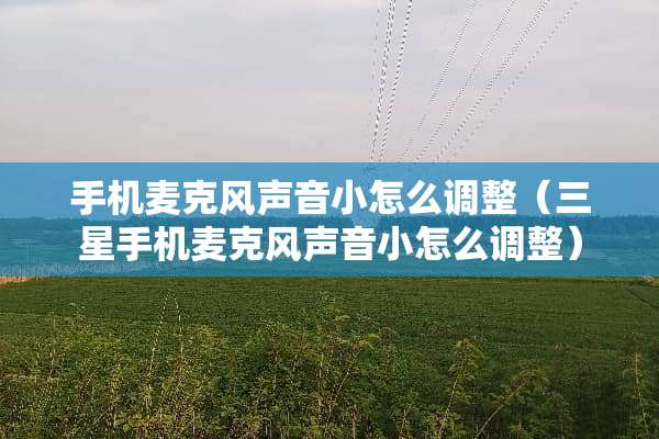 手机麦克风声音小怎么调整（三星手机麦克风声音小怎么调整）