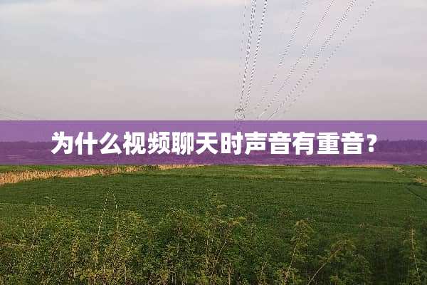 为什么视频聊天时声音有重音？