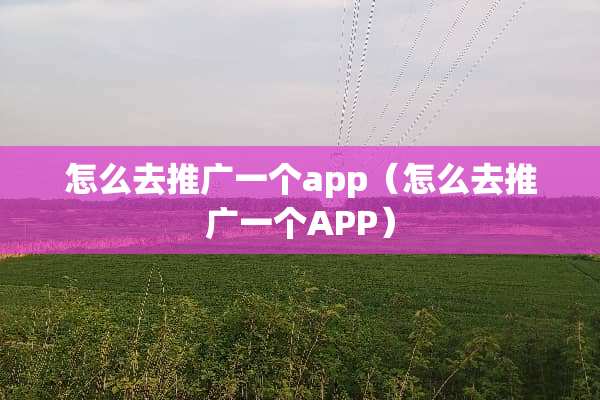 怎么去推广一个app（怎么去推广一个APP）