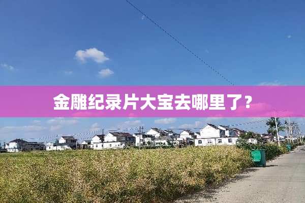 金雕纪录片大宝去哪里了？