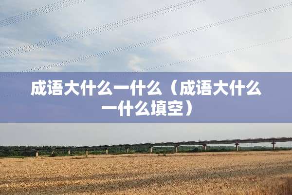成语大什么一什么（成语大什么一什么填空）