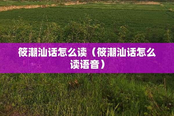筱潮汕话怎么读（筱潮汕话怎么读语音）