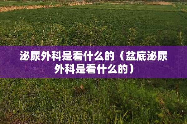 泌尿外科是看什么的（盆底泌尿外科是看什么的）