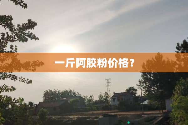 一斤阿胶粉价格？
