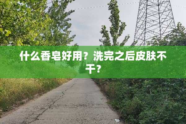 什么香皂好用？洗完之后皮肤不干？