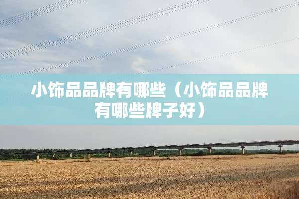 小饰品品牌有哪些（小饰品品牌有哪些牌子好）