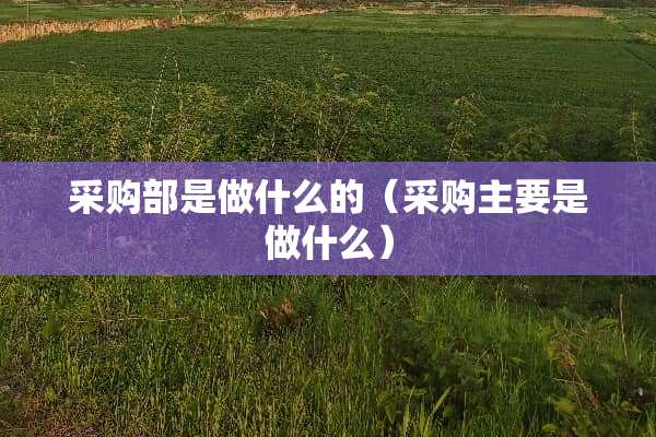采购部是做什么的（采购主要是做什么）