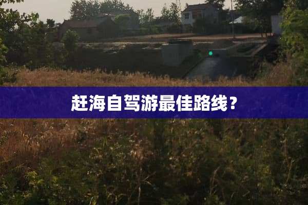 赶海自驾游最佳路线？