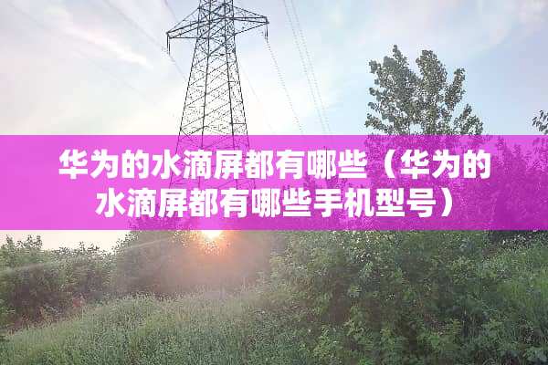 华为的水滴屏都有哪些（华为的水滴屏都有哪些手机型号）