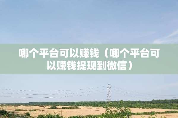 哪个平台可以赚钱（哪个平台可以赚钱提现到微信）