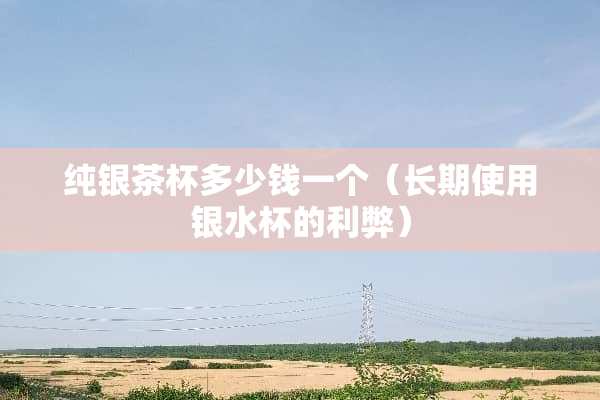 纯银茶杯多少钱一个（长期使用银水杯的利弊）