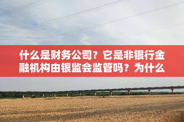 什么是财务公司？它是非银行金融机构由银监会监管吗？为什么？