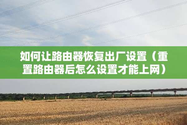 如何让路由器恢复出厂设置（重置路由器后怎么设置才能上网）