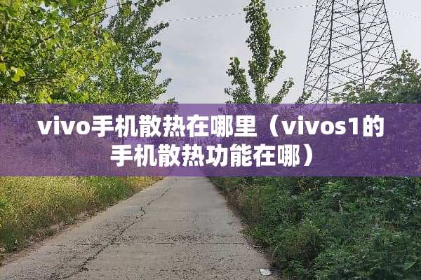 vivo手机散热在哪里（vivos1的手机散热功能在哪）